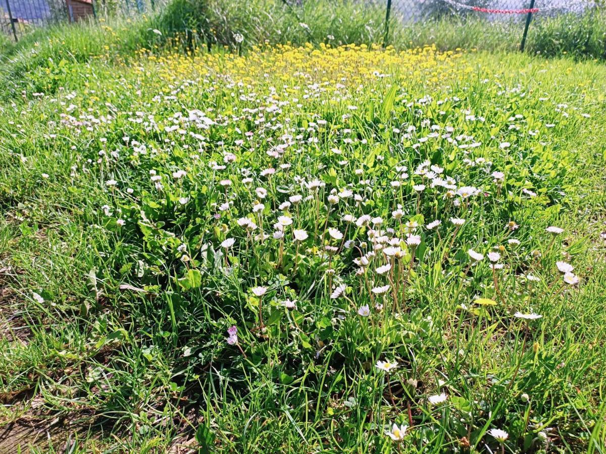 سيينا B&B Un Posto Nel Mondo المظهر الخارجي الصورة